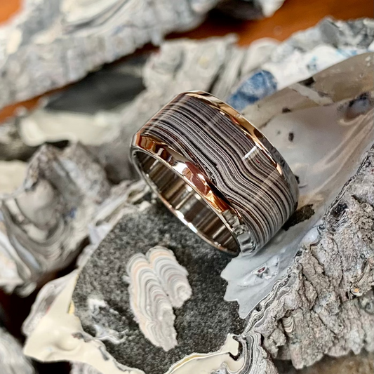 Stainless Steel Fordite Inlay Ring 10mm