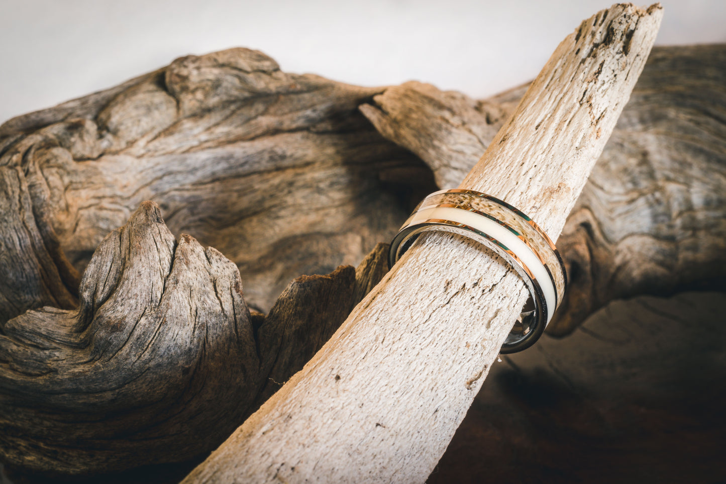 Tungsten Carbide Eland and Warthog Inlay Ring 8mm