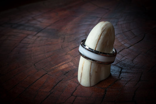 Tungsten Carbide Warthog Tusk Inlay Ring 8mm