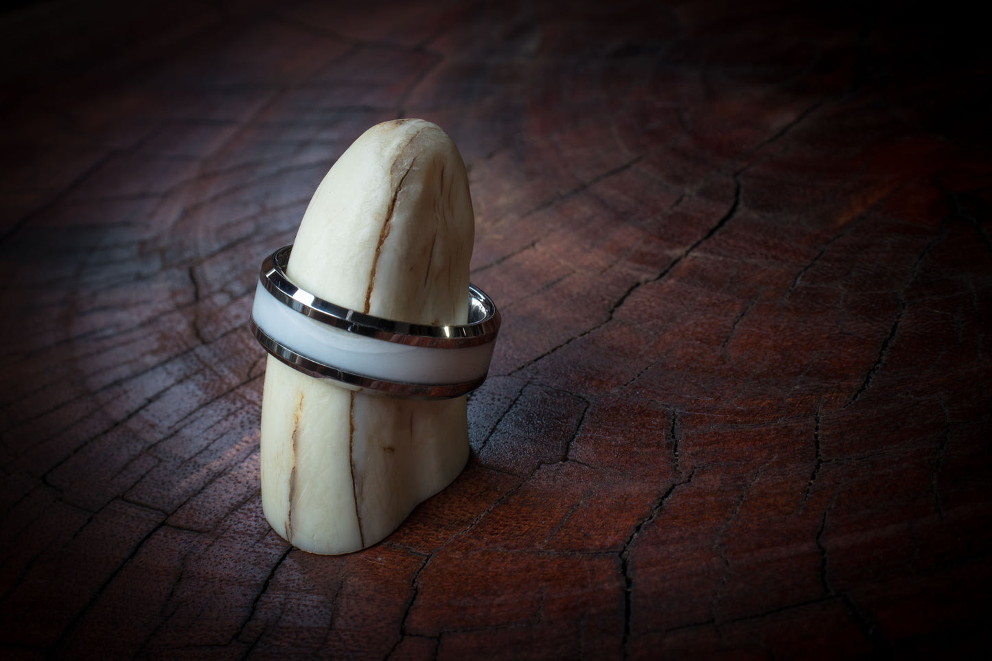 Tungsten Carbide Warthog Tusk Inlay Ring 8mm