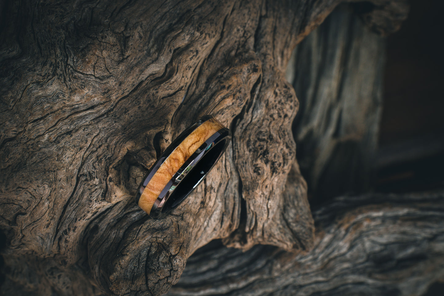 Ceramic Wild Olive Burl Inlay Ring  6mm