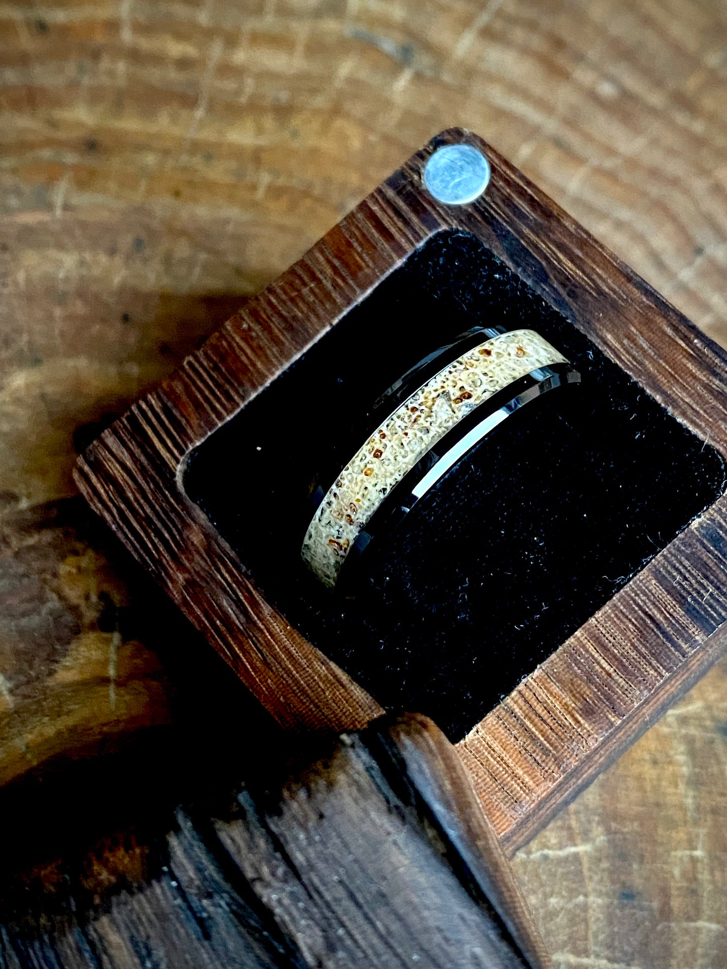 Ceramic Wildebeest Horn Inlay Ring 8mm
