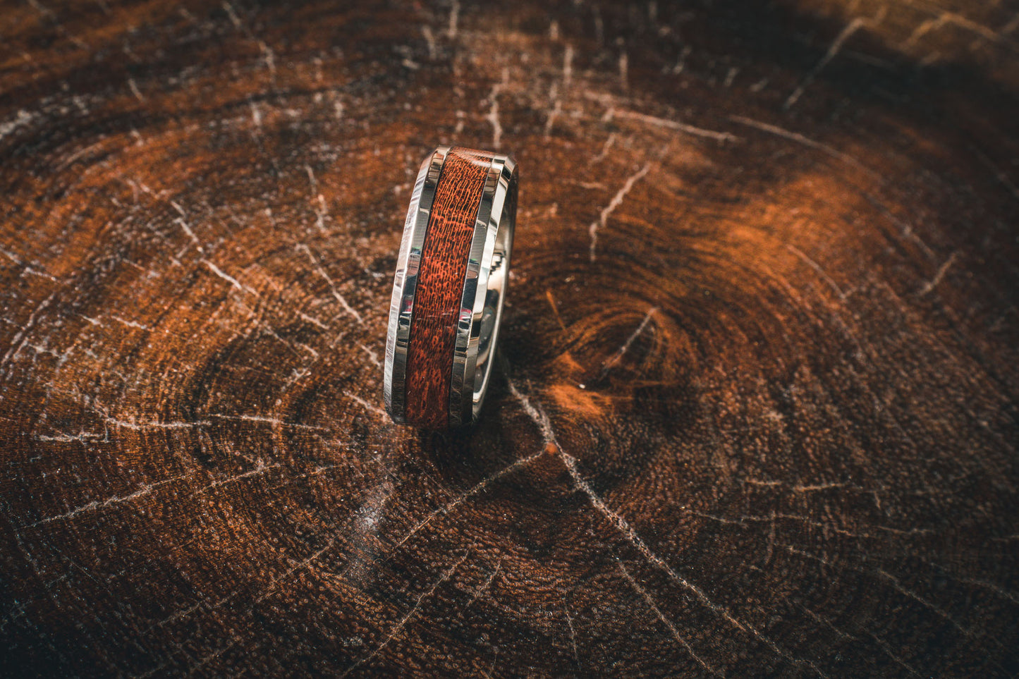 Tungsten Carbide Camel Thorn Inlay Ring 8mm