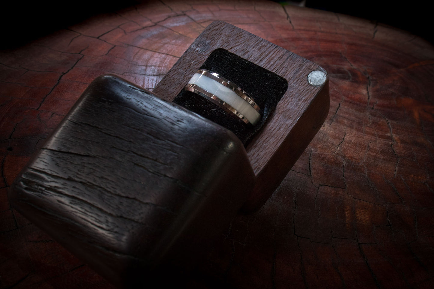 Tungsten Carbide Warthog Tusk Inlay Ring 8mm